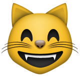 :happycat: