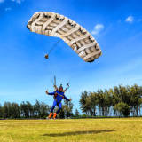 Toats Swooping
