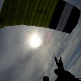 Ground Canopy Work