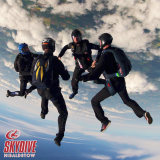 VFS Skydiving