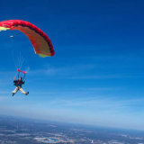 rosen_will_canopy