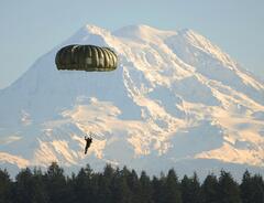 parachute skydiver.jpg