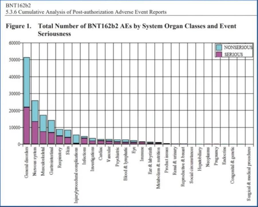 Chart.jpg.3ae5f6971bb2e9de1c72543bd32472b3.jpg