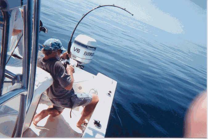 image.gif.cb5fafd3d5fdba19c8fd912231fbf42c.gif